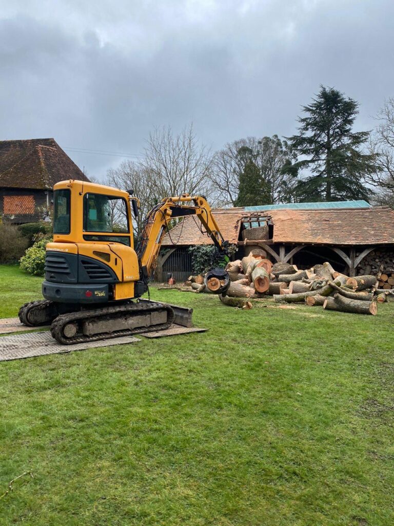 This is a photo of tree felling being carried out in Gravesend. All works are being undertaken by Gravesend Tree Surgeons